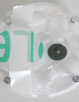 smallroundformicariumforsale smallroundformicariumforsale