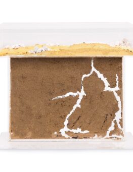 large t shape ant formicarium large t shape ant formicarium