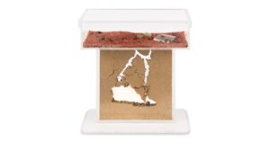 acrylic-model-t-kit-15x15x15-ants-nests-kits-anthouse