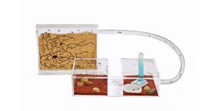 anthouse-sandwich-acri-mini-kit-ants-nests-kits-anthouse
