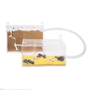 Ant Farm Kit For Kids - Ants Farms Colony - Sand Habitat Kits -Open Box