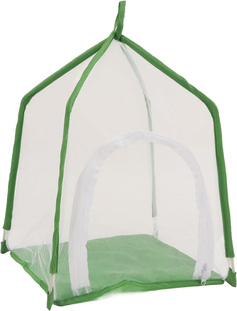 Ant Keeping UK - Ant Farms & Ant Care | Antkeeping.co.uk