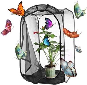 Butterfly Enclosure 59x61x91cm