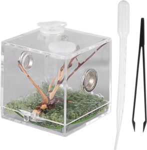 Jumping Spider Enclosure 5x5x5cm