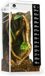 Jumping Spider Terrarium 3x3x6