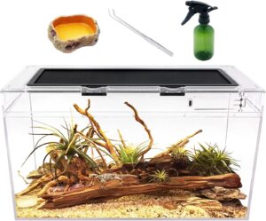 Stick Insect Terrarium 20x10x11