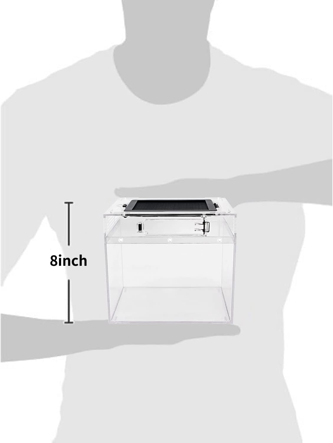 Stick Insect Tall Terrarium 8x8x12 Antkeeping.co.uk