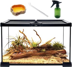 Stick Insects Terrarium 12x8x6.5